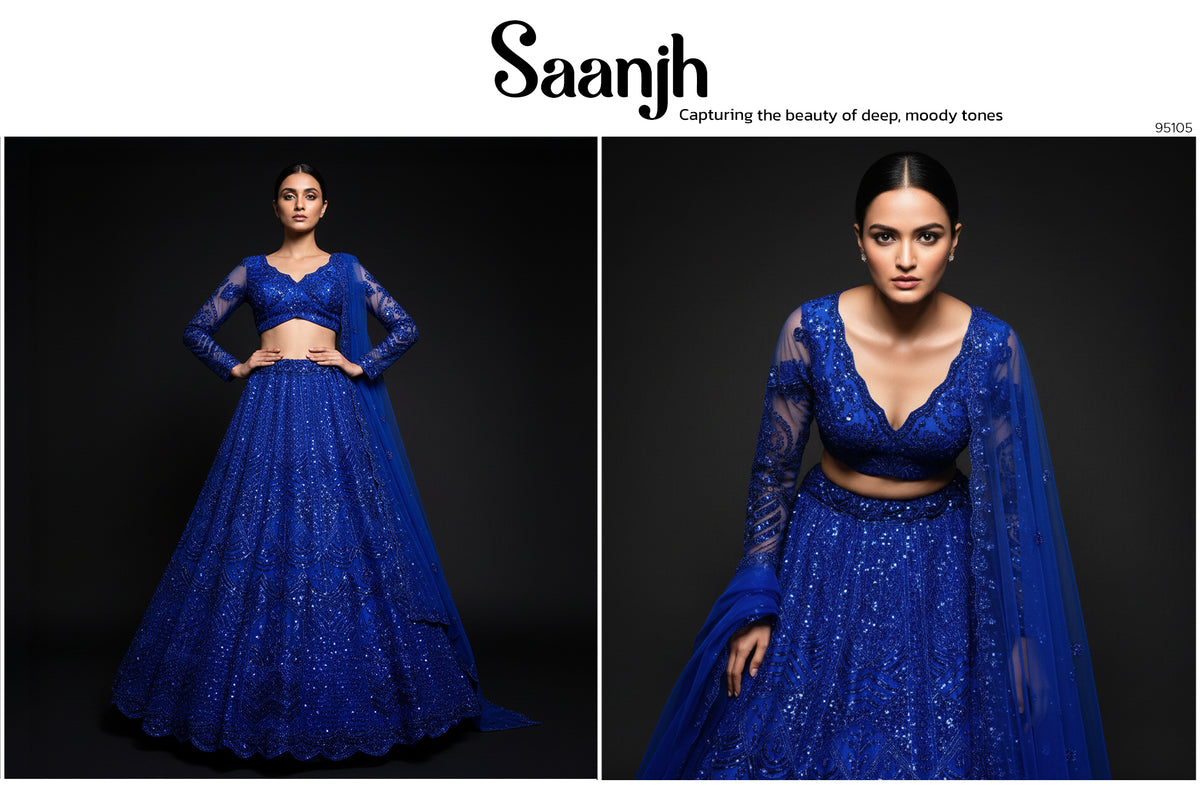 The Banaras Loom Heirloom: Black Net Lehenga Ensemble II - Blue - view 8